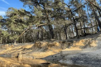 Diner by Bike – De Lutte