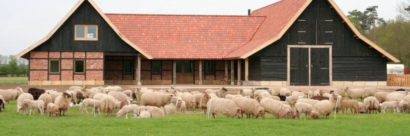 Schaapskooi Denekamp, een plek voor dier en mens