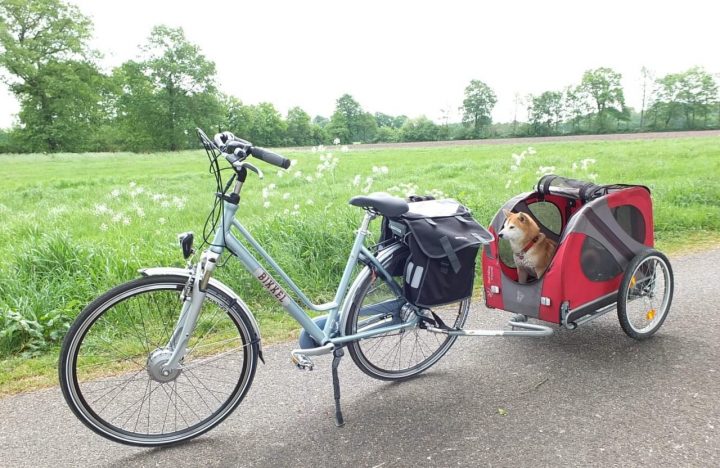 Hondenkar - Actief Twente