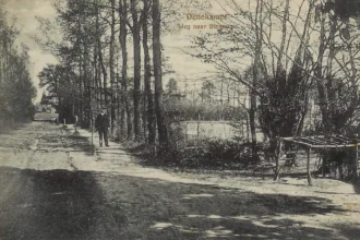 Molendijk, de weg naar het Singraven in Denekamp