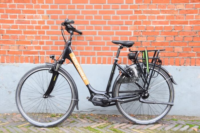 E-bike ALBA Ciclone Comfort Dames (2021)