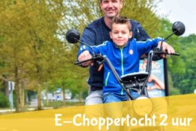 De E-Chopper