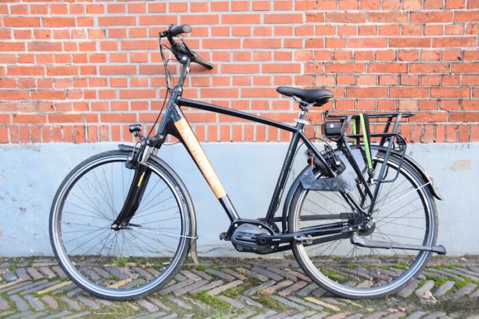 E-bike ALBA Ciclone Comfort Heren (2021)