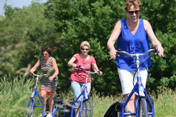 De Elektrische Loopfiets