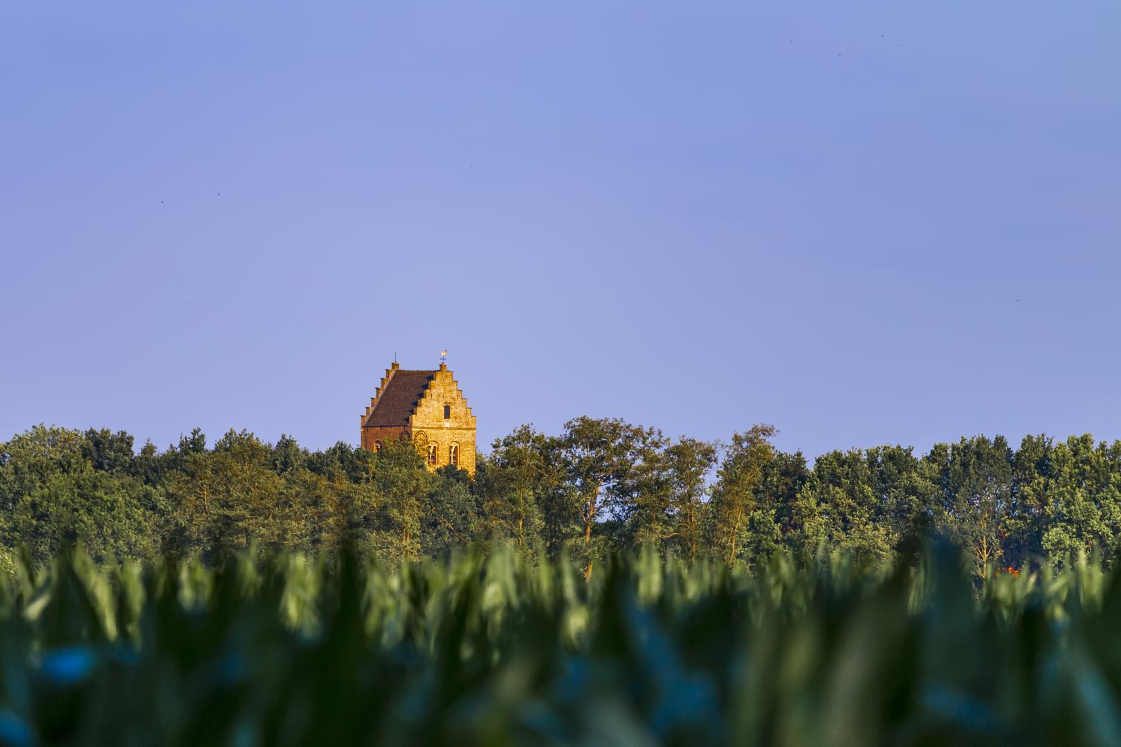 geesteren_natuur_kasteel