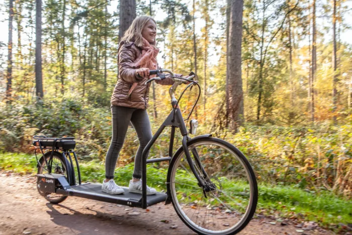 E-Loopfiets
